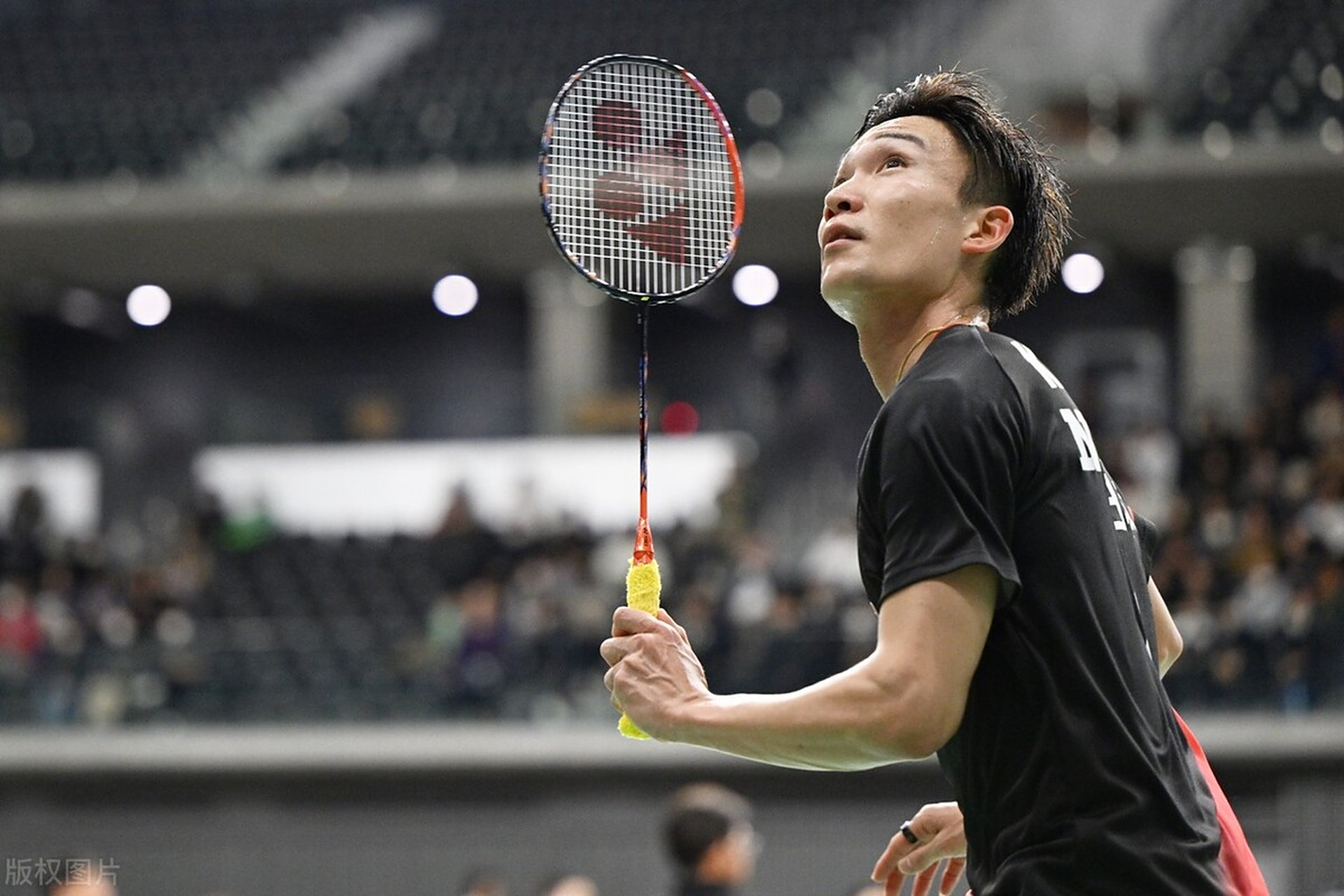 开云体育官网-印度队力克印尼队，桃田贤斗点燃赛场的简单介绍