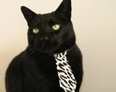 开云体育平台APP-逆转基因，从CBA到世界杯的篮球智慧传承