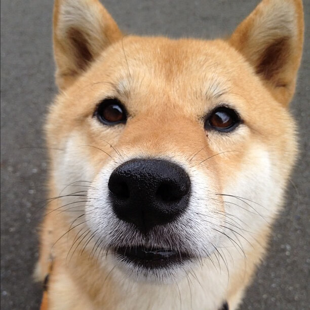 开云体育在线-争议漩涡与冷血三分，当世界质疑时，克莱在篮网主场按下静音键