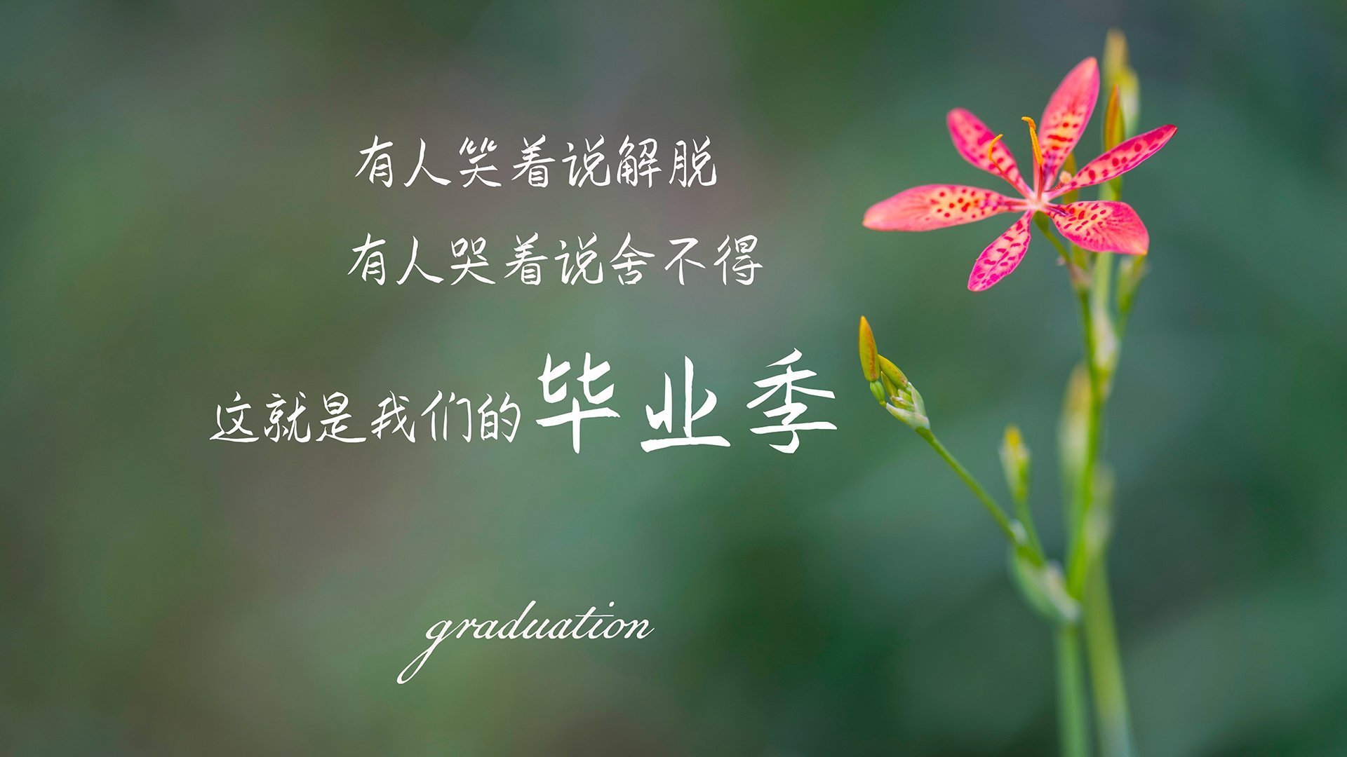 足球世界的两极，当精密运转的比利时，遇见瞬间接管比赛的佩德里