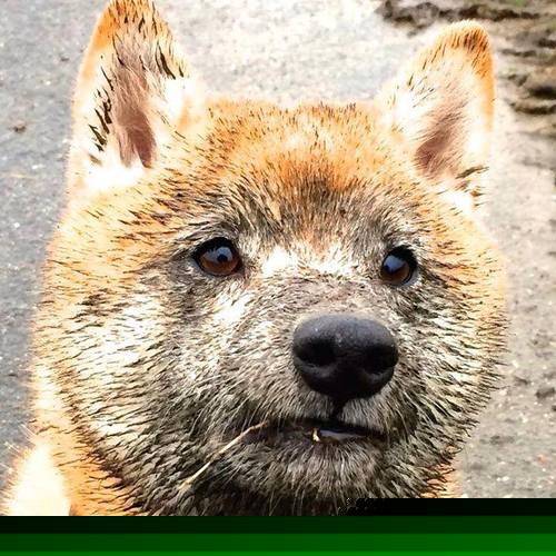 从替补到救世主，金玟哉天神下凡，利物浦绝境逆转皇马！