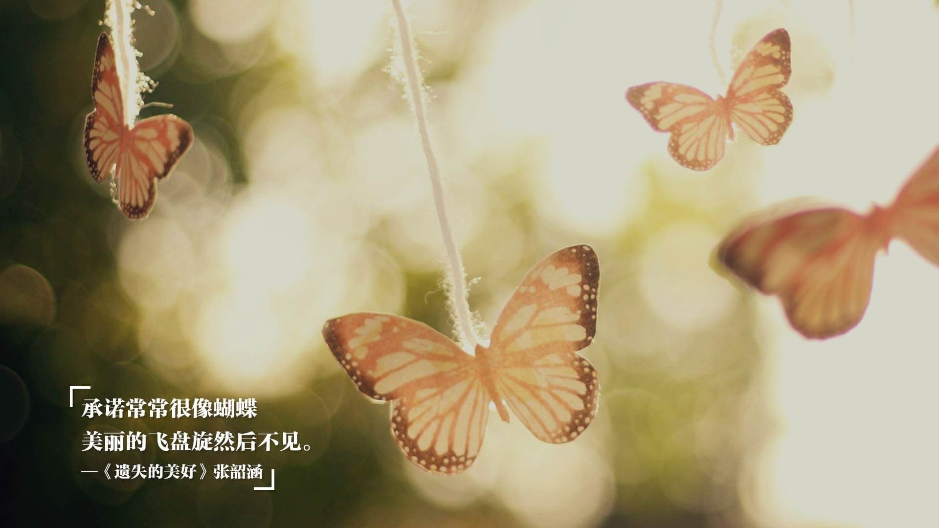 开云体育平台APP-答案与答案，塔图姆的个人美学与雷霆的集体风暴