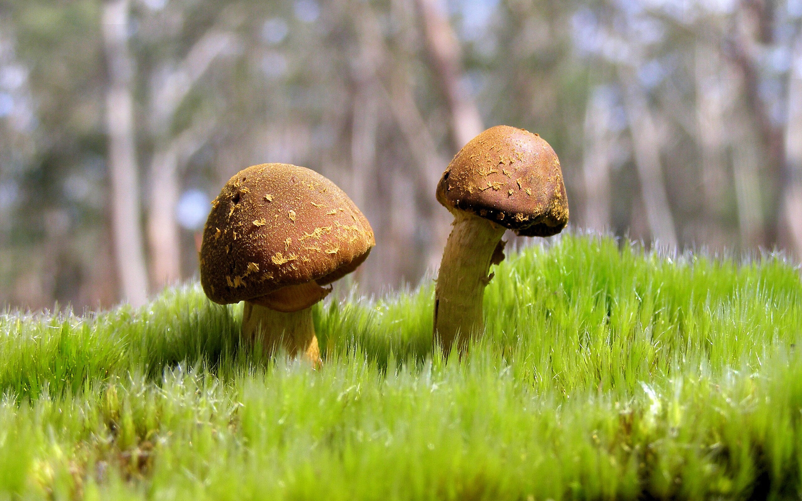 里程碑之夜，当独行侠遇上浙江，德罗赞穿越时空的篮球记忆