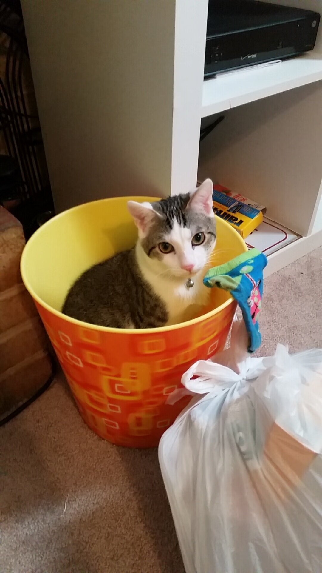 冰川与红龙，加克波的舞台哲学与加威决胜时刻