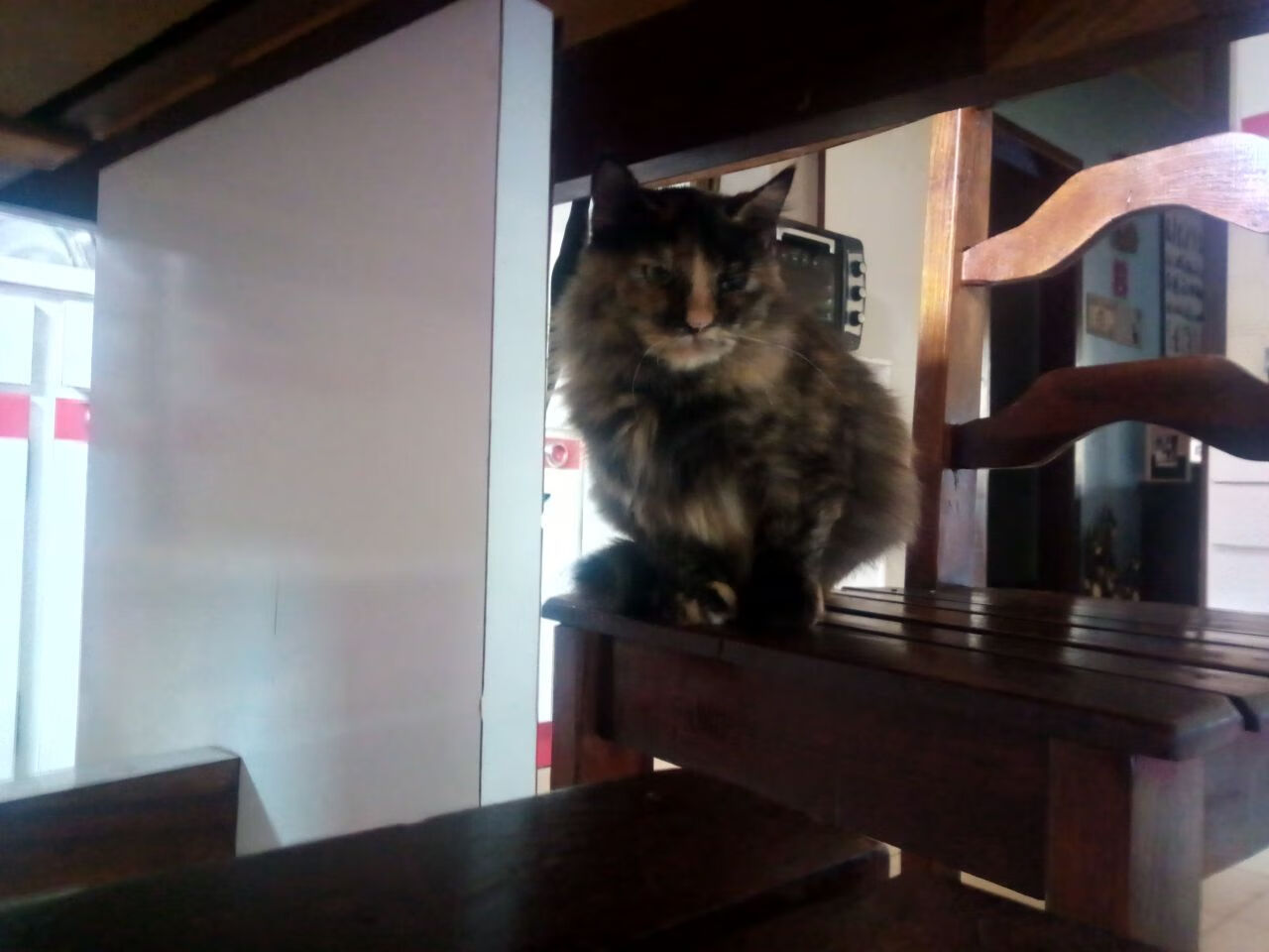 曼城对阵日本，楚阿梅尼无国界的战争，在东京雨夜刺出决定性一剑