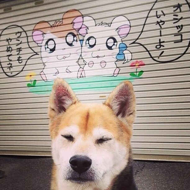 特奥式爆发,国际米兰如何用蓝黑手术刀精准打穿委内瑞拉足球迷思