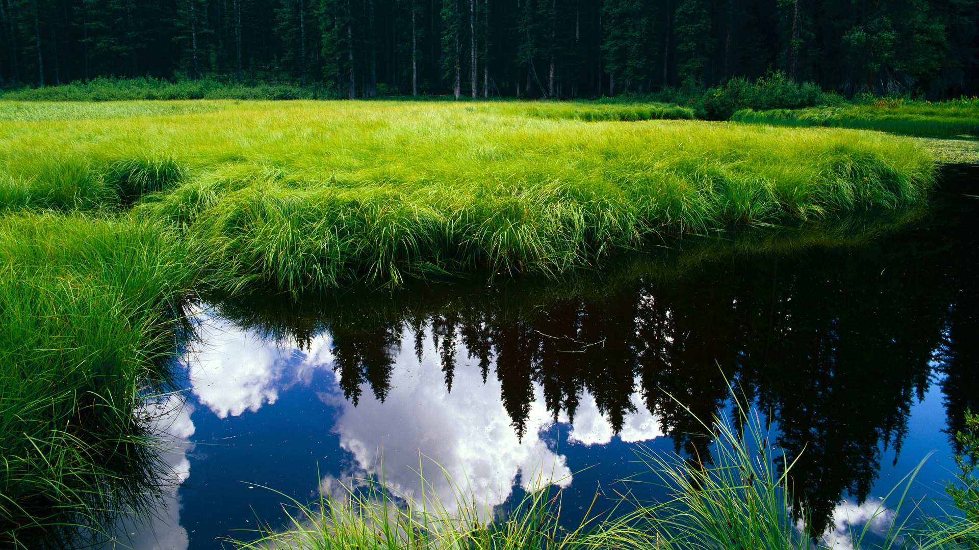 快船横扫老鹰锁定季后赛席位，浓眉爆发助湖人领跑西部排名
