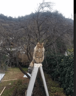 方案一（诗意反差）破局之夜，加克波的慢火与厄瓜多尔的闪电