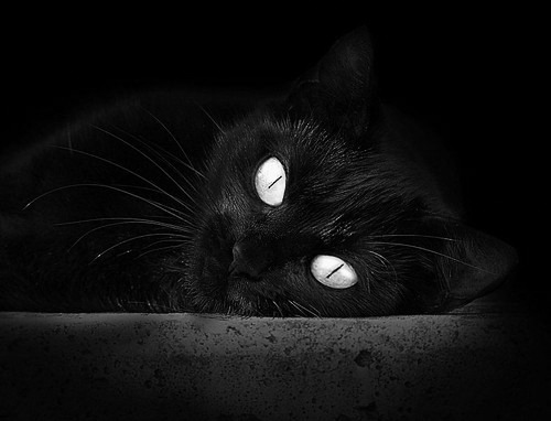 开拓者高原奏凯，伦纳德末节风暴定格洛城悬疑剧