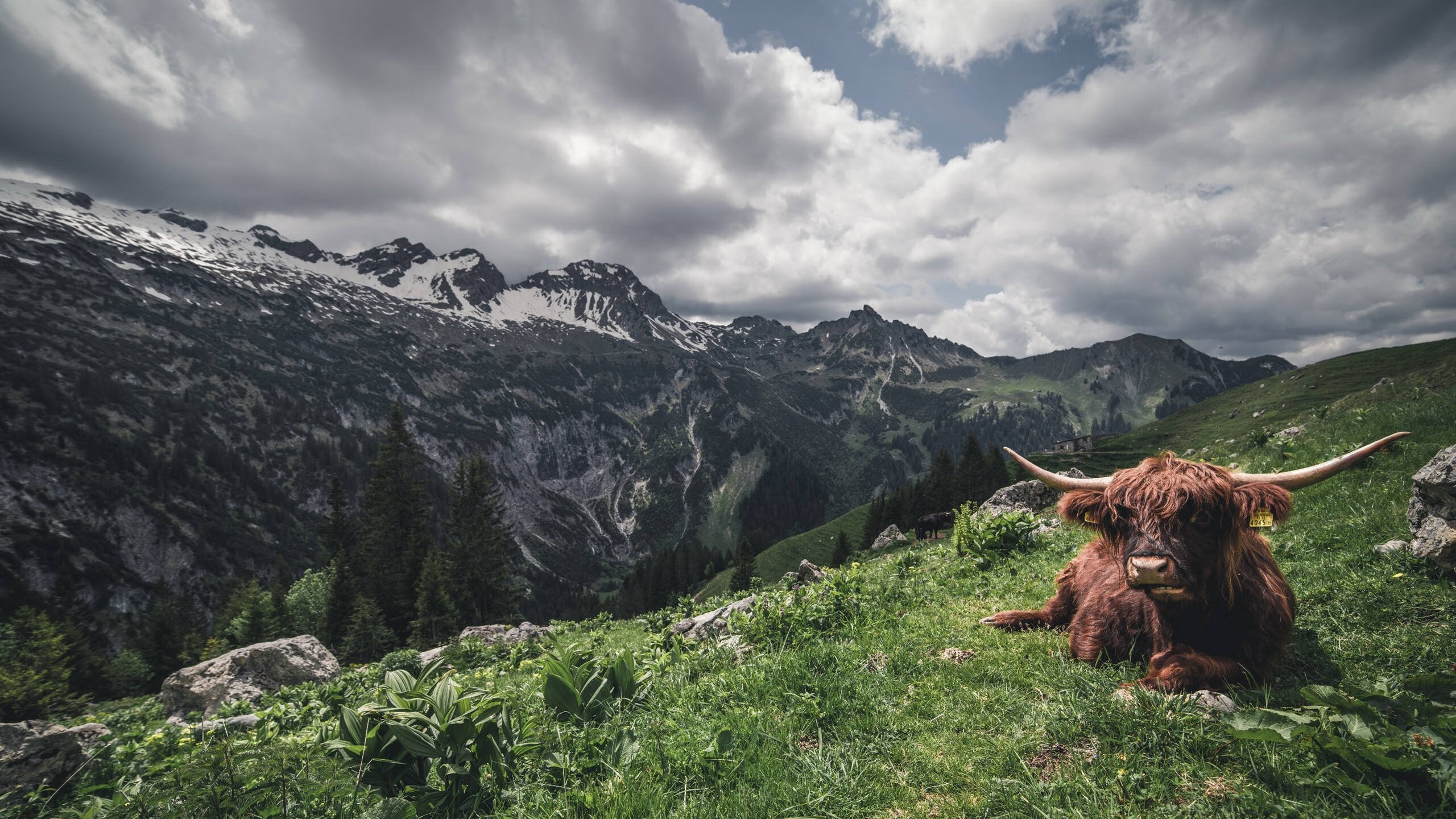 东决关键战之夜，巴尔韦德天外飞仙改写历史