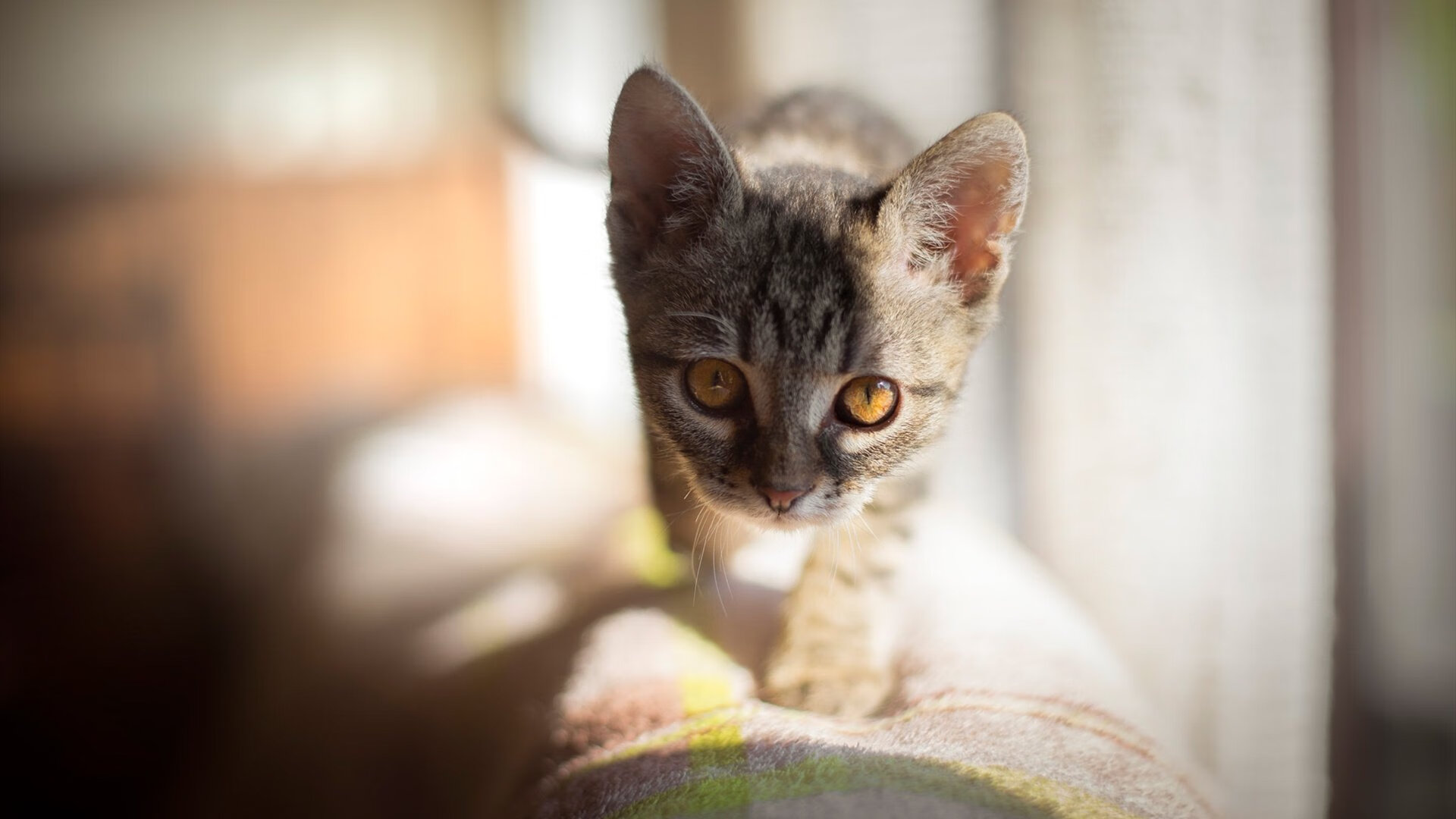 草根逆袭，以弱胜强，山西队生死战淬炼出的逆袭哲学