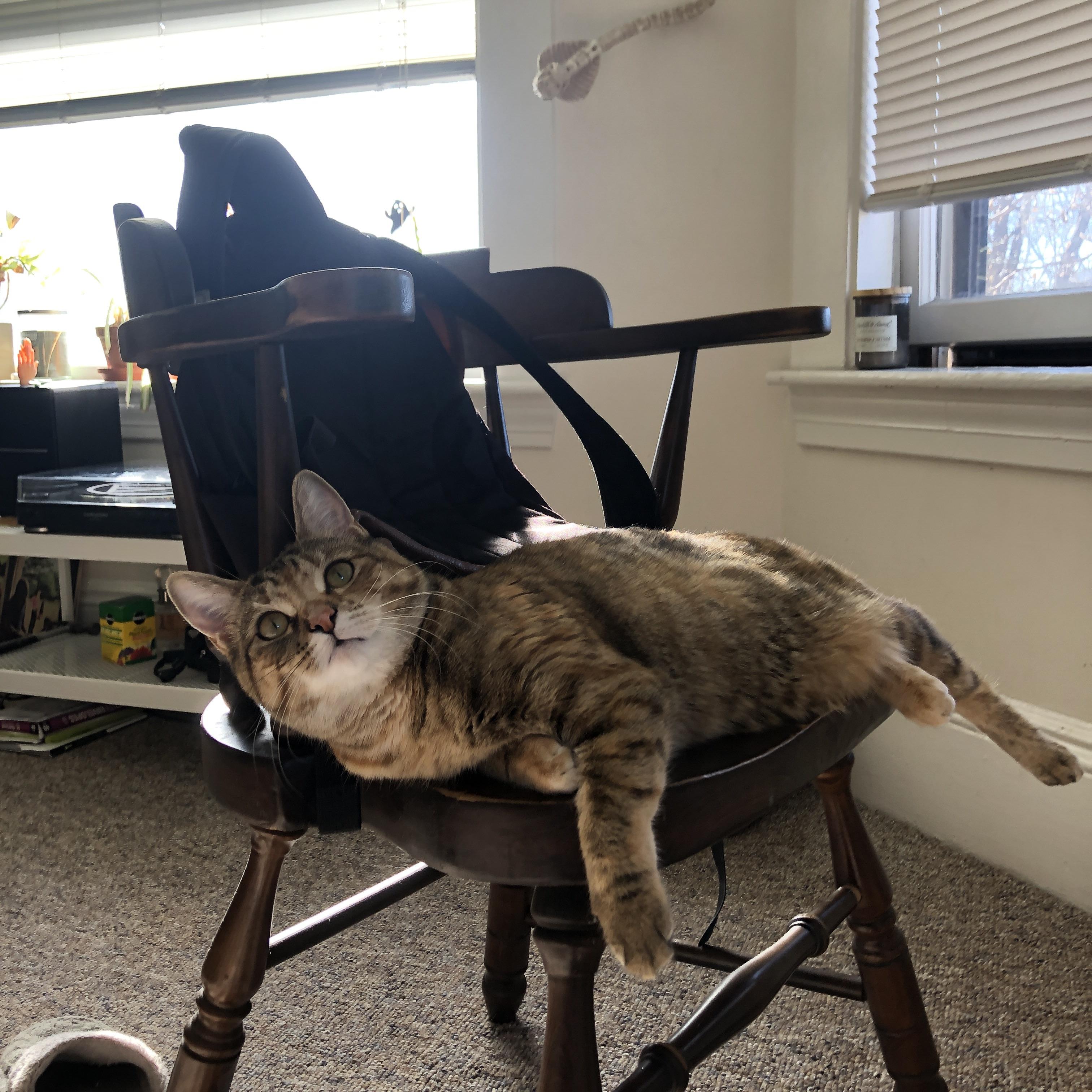 如果时间错位，科比踏平公牛，爱德华兹接管未来