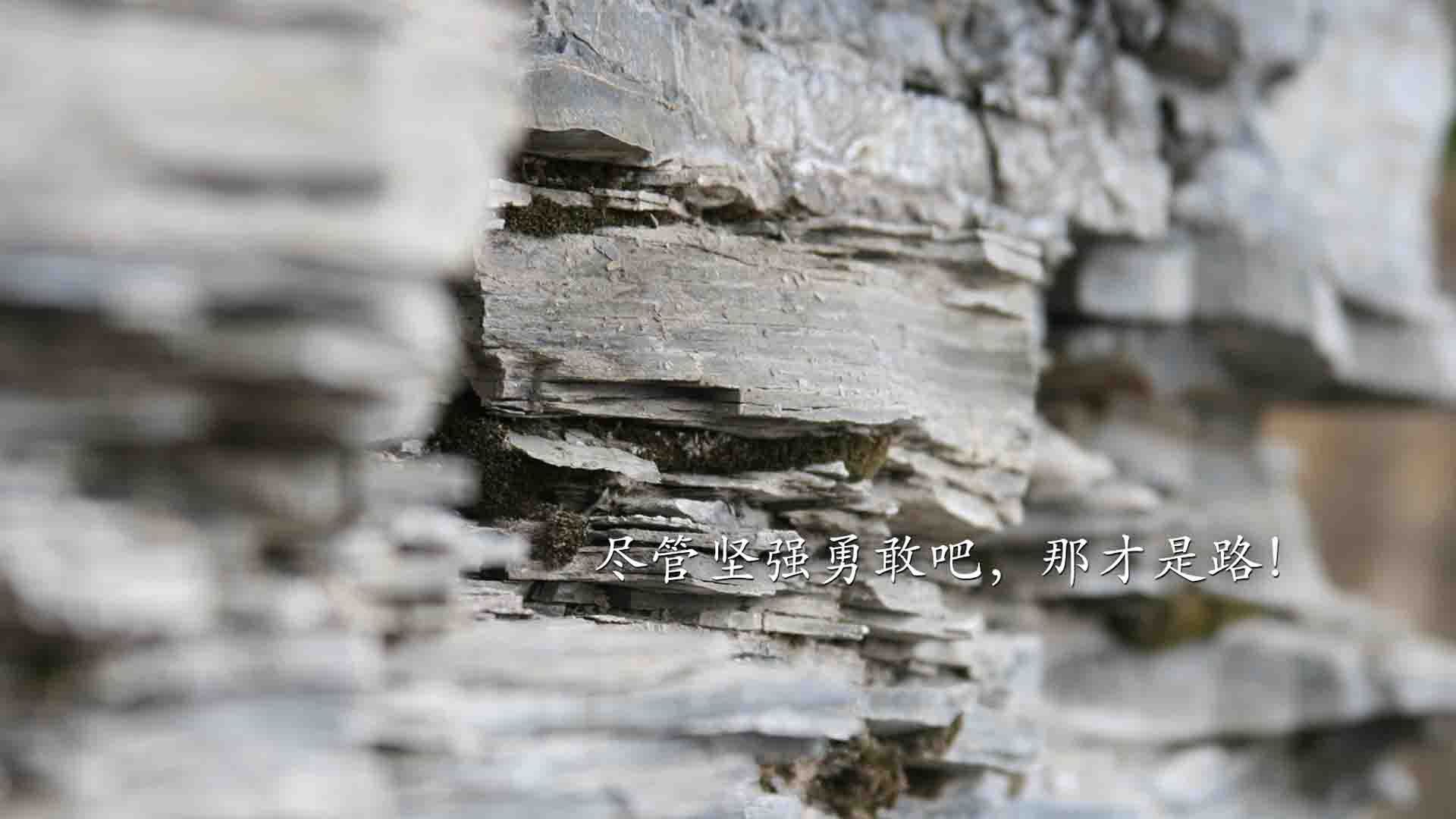 南美黑马撕裂欧洲荣光,2026世界杯G组,厄瓜多尔用最犀利的矛,刺穿葡萄牙最坚固的盾,吉鲁演绎巨人杀手