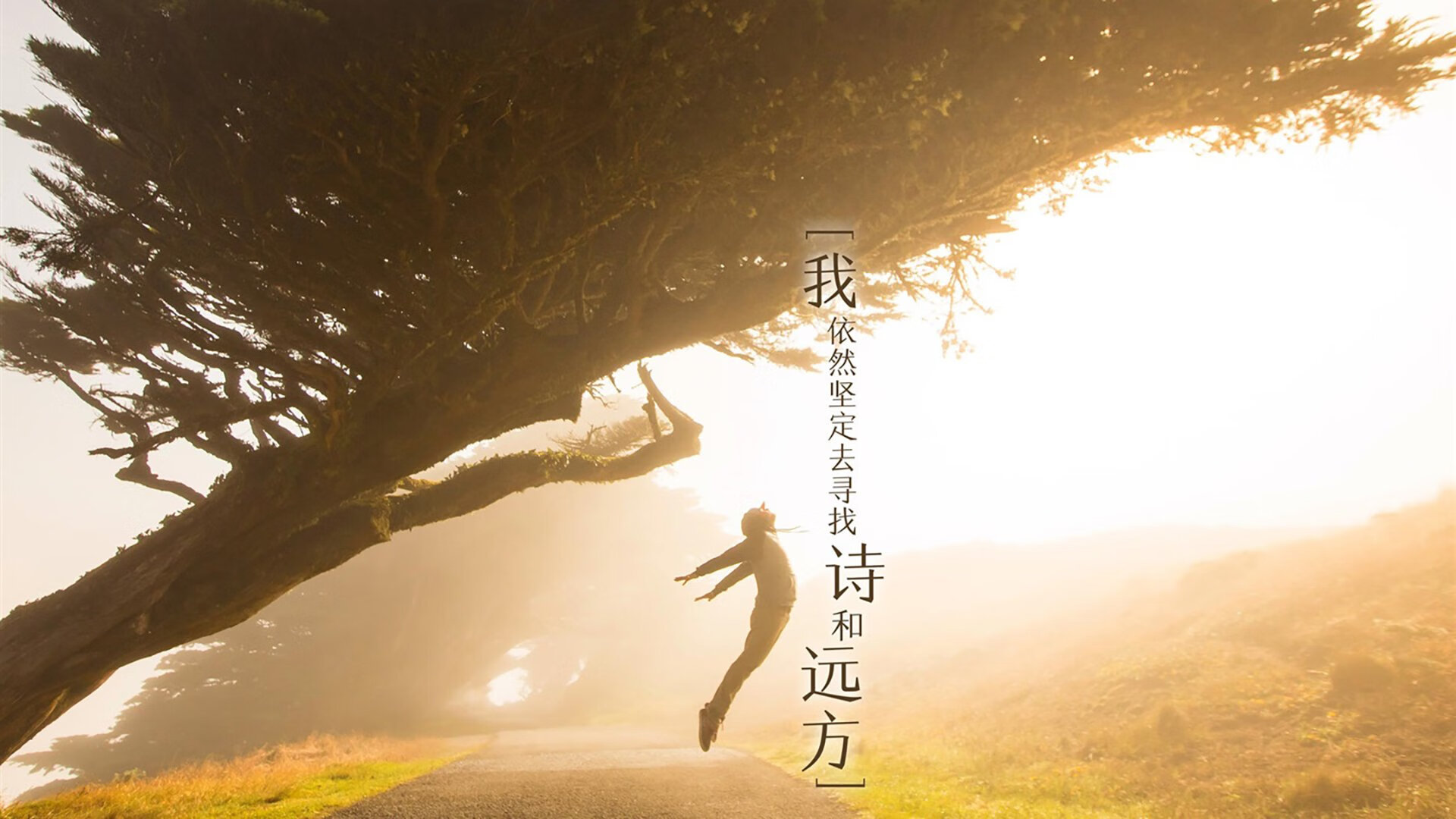 2026世界杯历史重演，维尼修斯致命一击，澳大利亚横扫加拿大谱写冰与火之歌