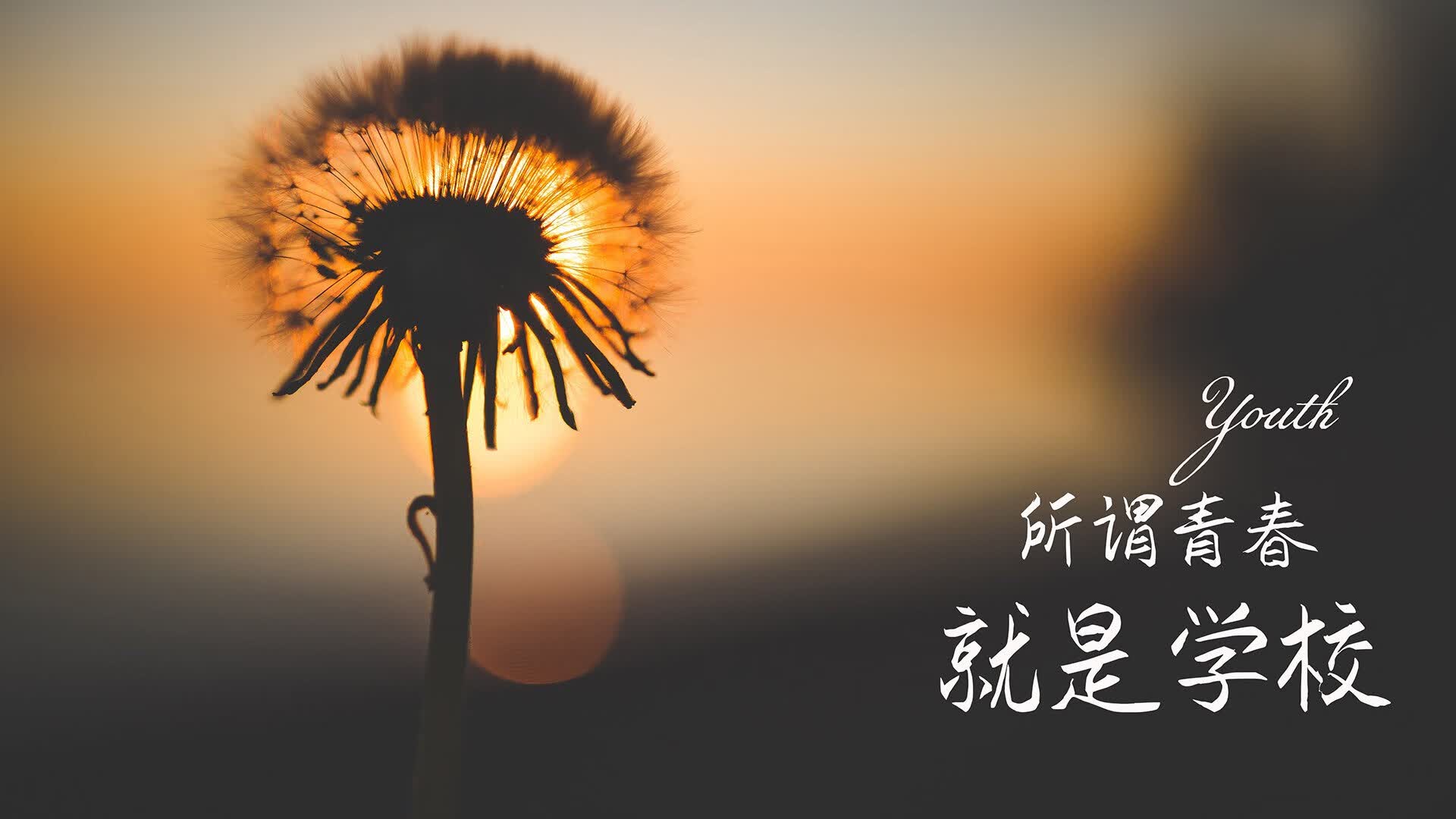 开云体育在线-棋盘上的国王，久保建英用一己之力，为克罗地亚奏响2026世界杯最燃一夜