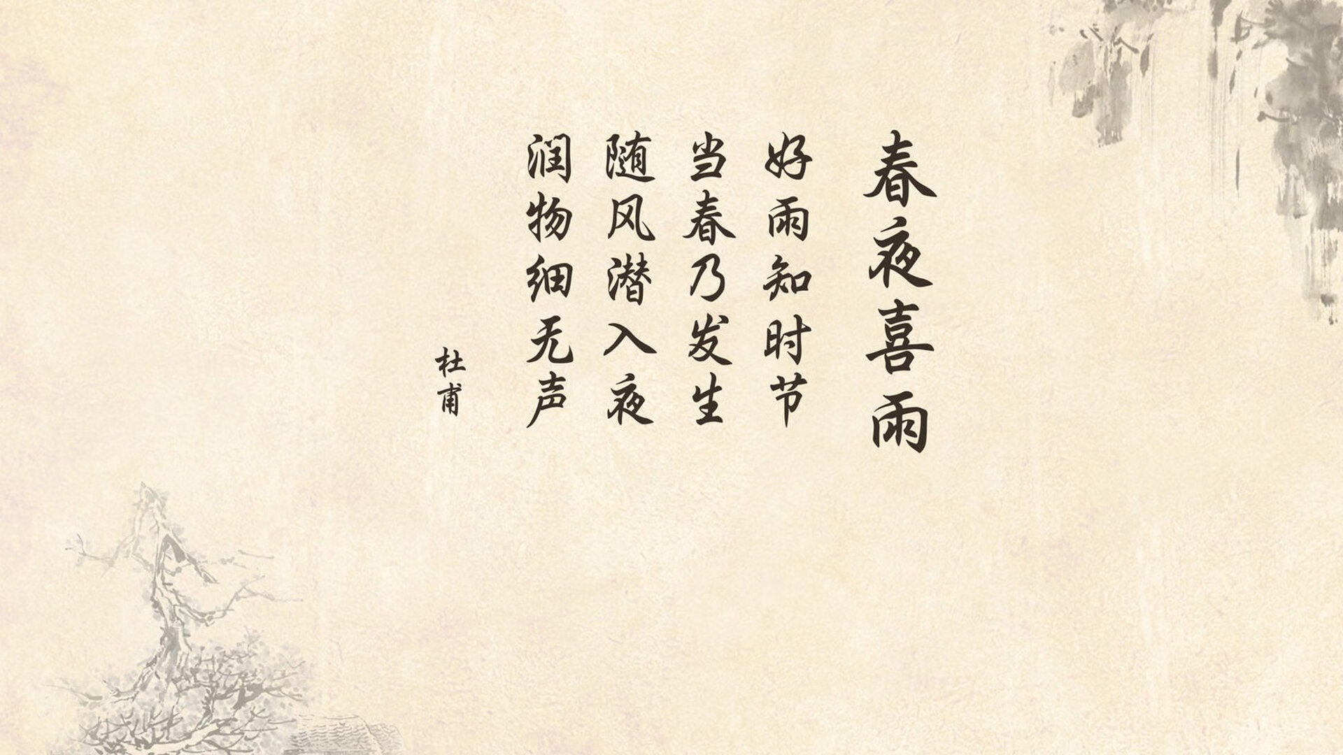 猎豹与斗牛士的弦乐之战,当加维的节拍器,奏响了厄瓜多尔高原的终章