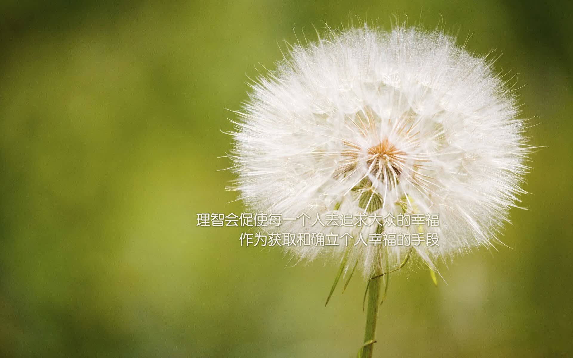 致命一传，压垮南美雄鹰，当布罗佐维奇的手术刀划破2026的夏天，斯洛伐克铁骑碾过智利
